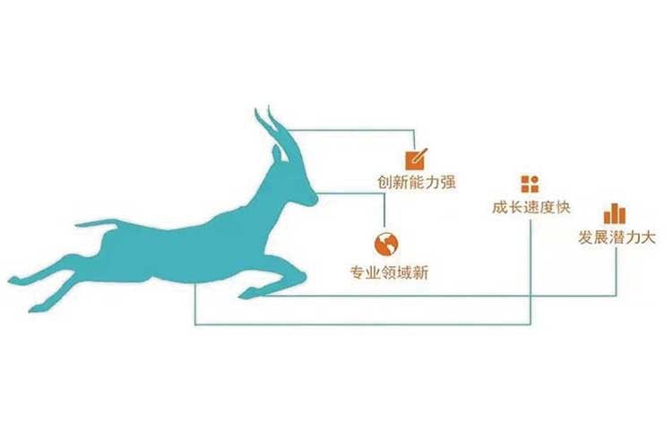 萊恩光電通過2022年度山東省瞪羚企業評審